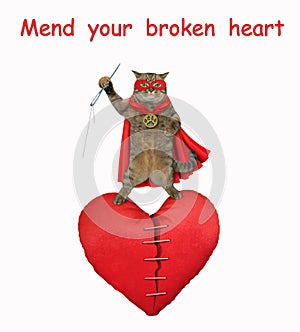 Cat hero mend broken heart
