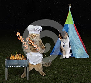 Cat with his lover on picnic 2