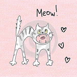 Cat hisses and meows. Vector illustration of hand drawn sketch