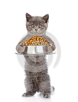 Cat holding bowl of dry dog food. isolated on white background