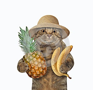 Cat holding pineapple and bananas