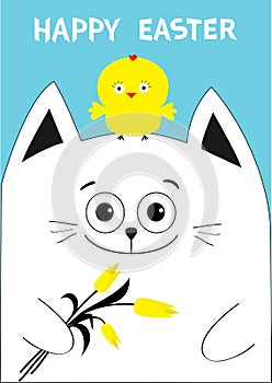 Cat holding yellow tulip flower and chicken bird. Happy Easter Greeting card. Baby chick bird friends. Cute cartoon funny