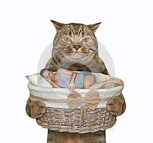 Cat holds basket with sleeping man