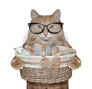 Cat holds basket with sleeping man 2