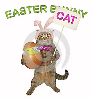Cat holds the easter egg with a chick 2
