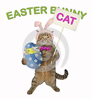 Cat holds the easter egg with a chick