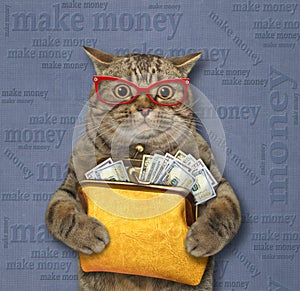 Cat holds purse with dollars 3