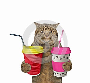Cat holds two cups of coffee 3