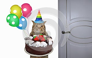 Cat with holiday cake near door