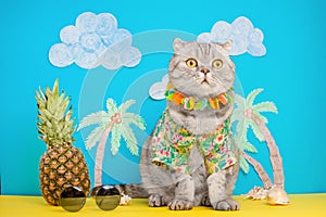 A cat on holiday in a Hawaiian shirt with pineapples. On the beach with malma. A concept of rest, relaxation, vacation