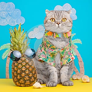 A cat on holiday in a Hawaiian shirt with pineapples. On the beach with malma. A concept of rest, relaxation, vacation