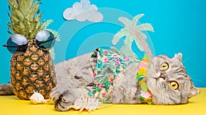 A cat on holiday in a Hawaiian shirt with pineapples. On the beach with malma. A concept of rest, relaxation, vacation