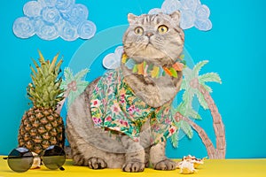 A cat on holiday in a Hawaiian shirt with pineapples. On the beach with malma. A concept of rest, relaxation, vacation