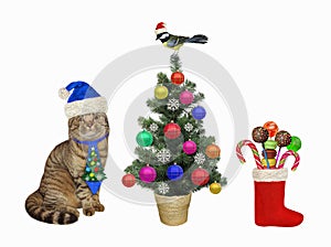 Cat in holiday tie near Christmas tree 2