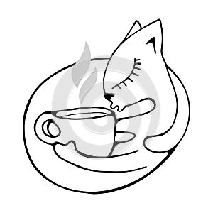 The cat hugs a cup of fragrant coffee, tea or cocoa.