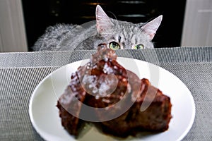 Cat hunter was hiding in kitchen. Pet looks at bottom of piece meat. Roast beef is on a plate, it hunts a cat. Black background.