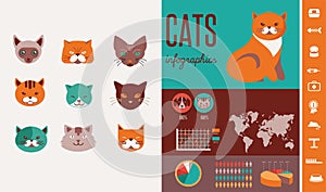 Cat infographics with vector icons set