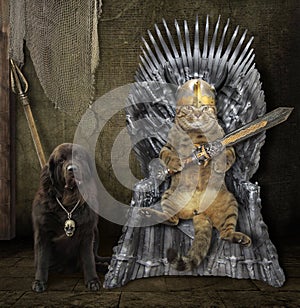 Cat on the iron throne and a dog 2