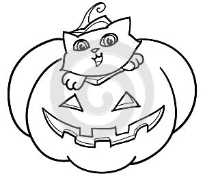 Cat in Jack o' Lantern vector