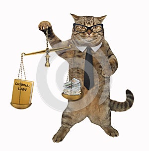 Cat judge holds a scale of justice