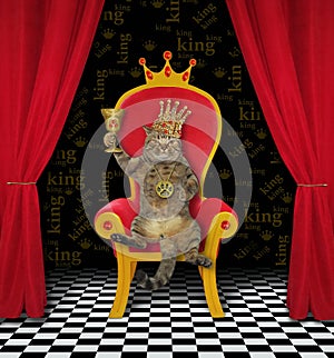 Cat king with goblet on throne