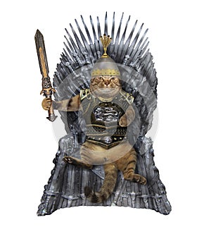 Cat king on the iron throne 2