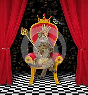 Cat king with scepter on throne