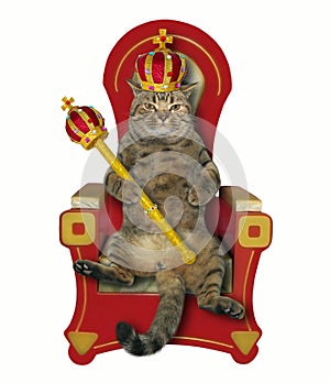 Cat king on the throne