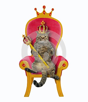 Cat king is on the throne