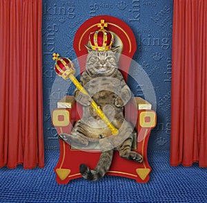 Cat king on the throne 2