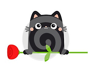 Cat kitten kitty holding red rose flower bouquet. Happy Valentines Day. Cute cartoon kawaii funny animal. Greeting card, tshirt,