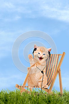 Cat / kitten sitting in deck chair with headphones