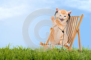 Cat / kitten sitting in deck chair with headphones