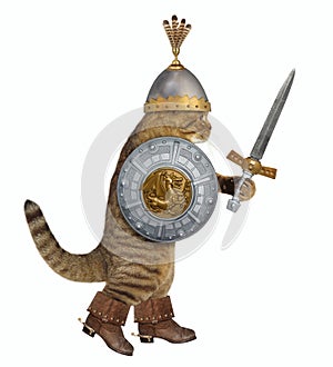 Cat in knight armor with a sword 2