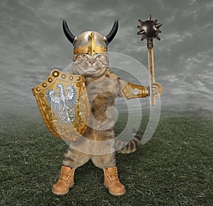 Cat knight with a mace 2