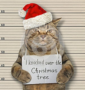 Cat knocked over Christmas tree