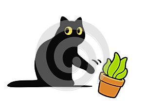 Cat knocking plant off table