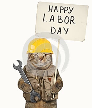Cat and labor day 2