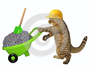 Cat laborer with wheelbarrow of gravel