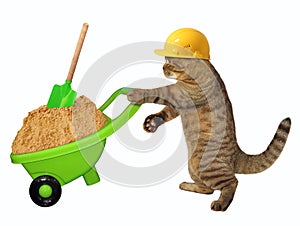 Cat laborer with wheelbarrow of sand