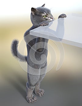 Cat leaning on a semitransparent desk