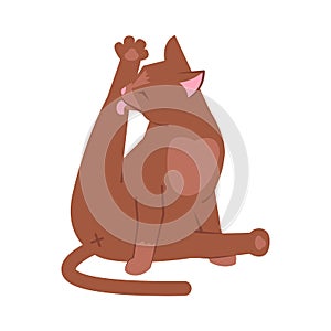 Cat licking leg semi flat RGB color vector illustration