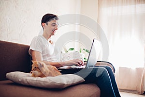 The cat lies on a pillow at home near his master with a laptop