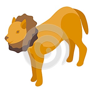 Cat lion costume icon isometric vector. Witch furry