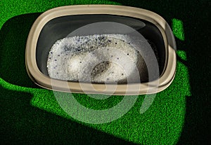 Cat, litter, box. Grey litter box with sand on bathroom floor