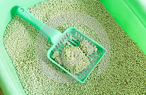 Cat litter box for toilet of cat with green scoop