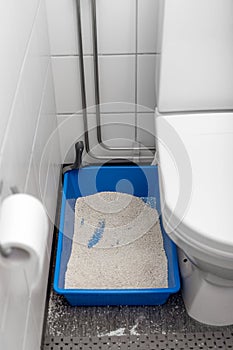 Cat litter tray in the bathroom. Cat litter box. The cat spills litter from the tray onto the floor. Dirt on the floor