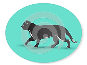 Cat logo vector id card image photo