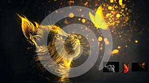 A cat look a spritual butterfly Photoshop manupulation photo photo