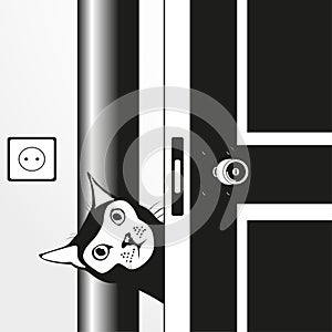 A cat looking out from behind the door. Vector illustration in black and white.